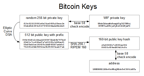 bitcoin address vs private key