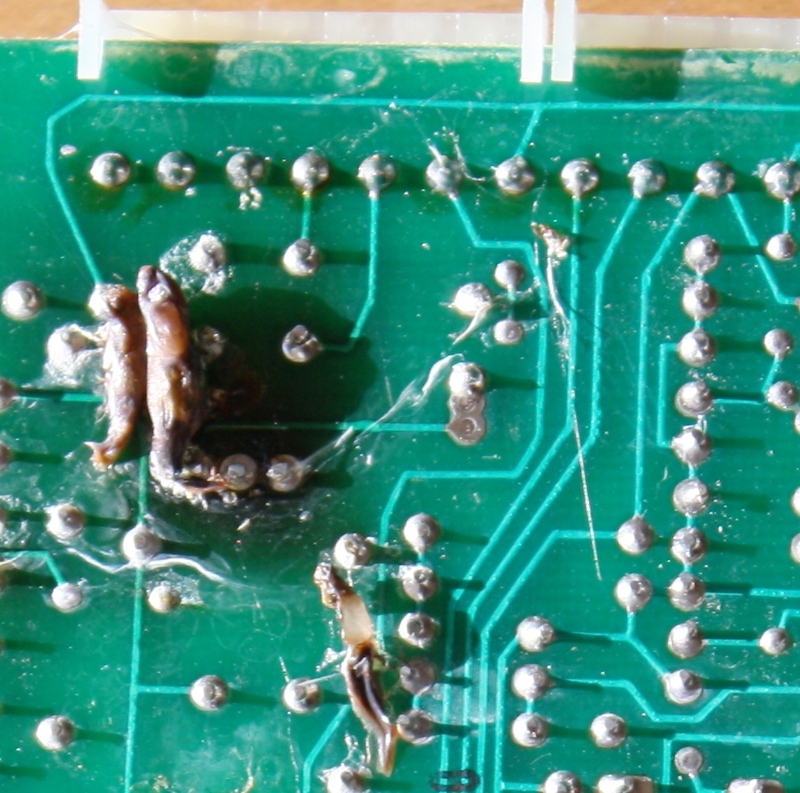 Gate controller board infested with cocoons