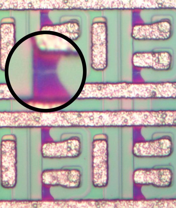 A closeup of the fuses (purple) that store data. Inset circle shows a magnified fuse, showing the tiny horizontal crack indicating the fuse was blown.