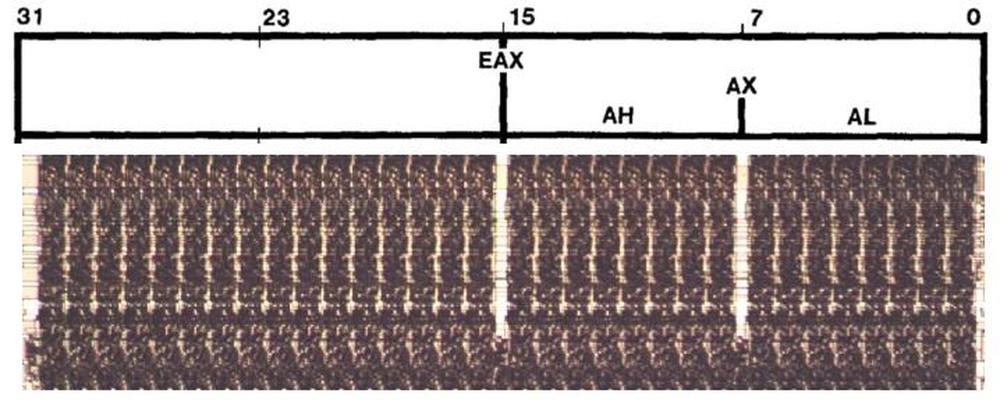 Part of the ALU circuitry, displayed underneath the structure of the EAX register.