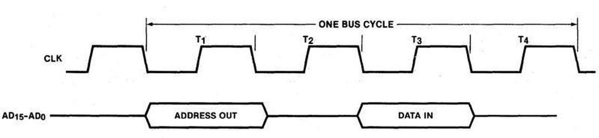 A typical read bus cycle consists of four T states. Based on The 8086 Family Users Manual, B-16.
