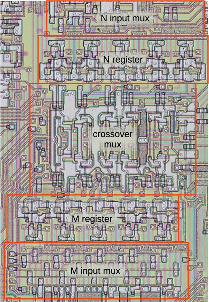 The M and N registers as they appear on the die. The metal layer has been removed from this image to show the silicon and polysilicon underneath.