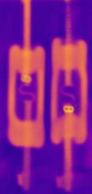Two diodes in the scan. The first diode has the die at the top, while the second has the die at the bottom.