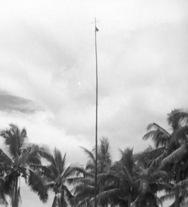 A tall mast with a flag and cross on top. This was claimed to be a special radio mast that enabled
communication with John Frum. It was decorated with scarlet leaves and flowers.
From Attenborough's Cargo Cult.