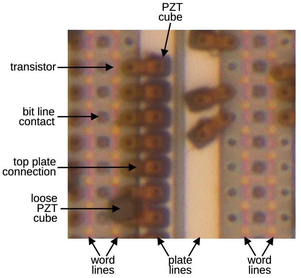 Structure of the memory. The image is focus-stacked for clarity.