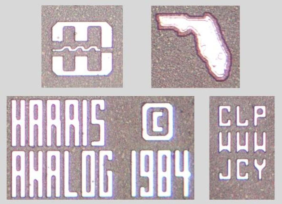 Some interesting images from the die.