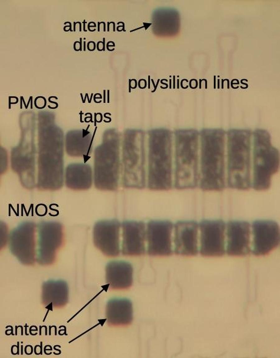 Closeup of the Pentium die showing transistors. The metal and polysilicon layers have been removed to show the silicon.