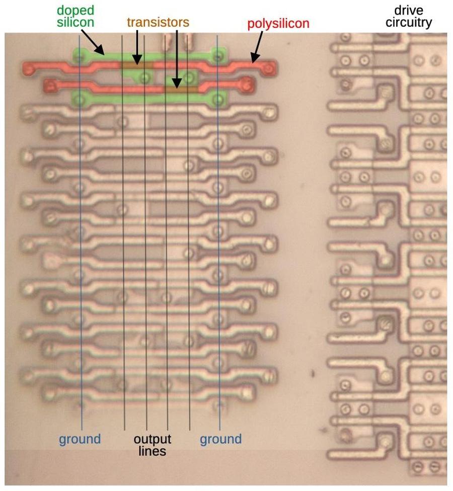 Part of the OR plane of the division PLA. I removed the metal layers to show the underlying silicon and polysilicon. I drew lines for ground and outputs, showing where the metal lines were.