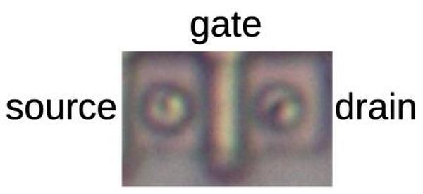 One transistor in the constant ROM.