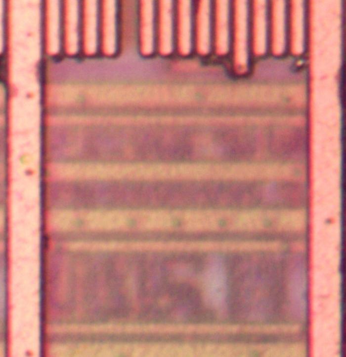 The Pentium's M3 metal layer. Lower layers are visible, but blurry due to the insulating oxide layers.